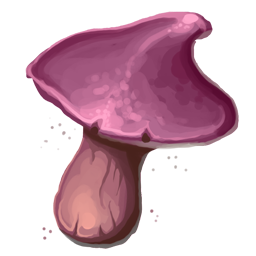 Eluxpilz